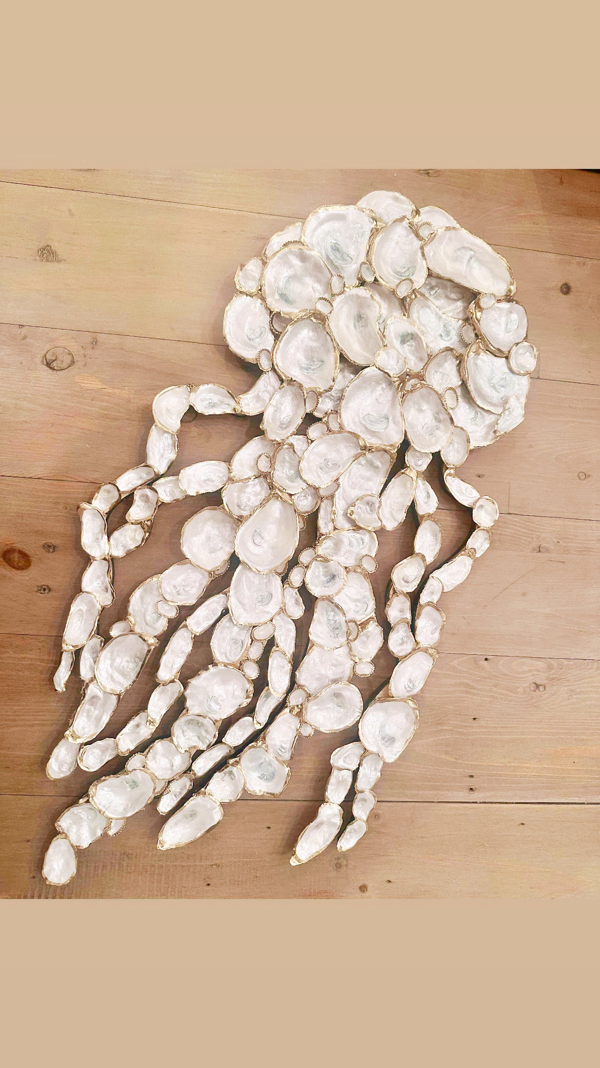 Oyster shell jellyfish