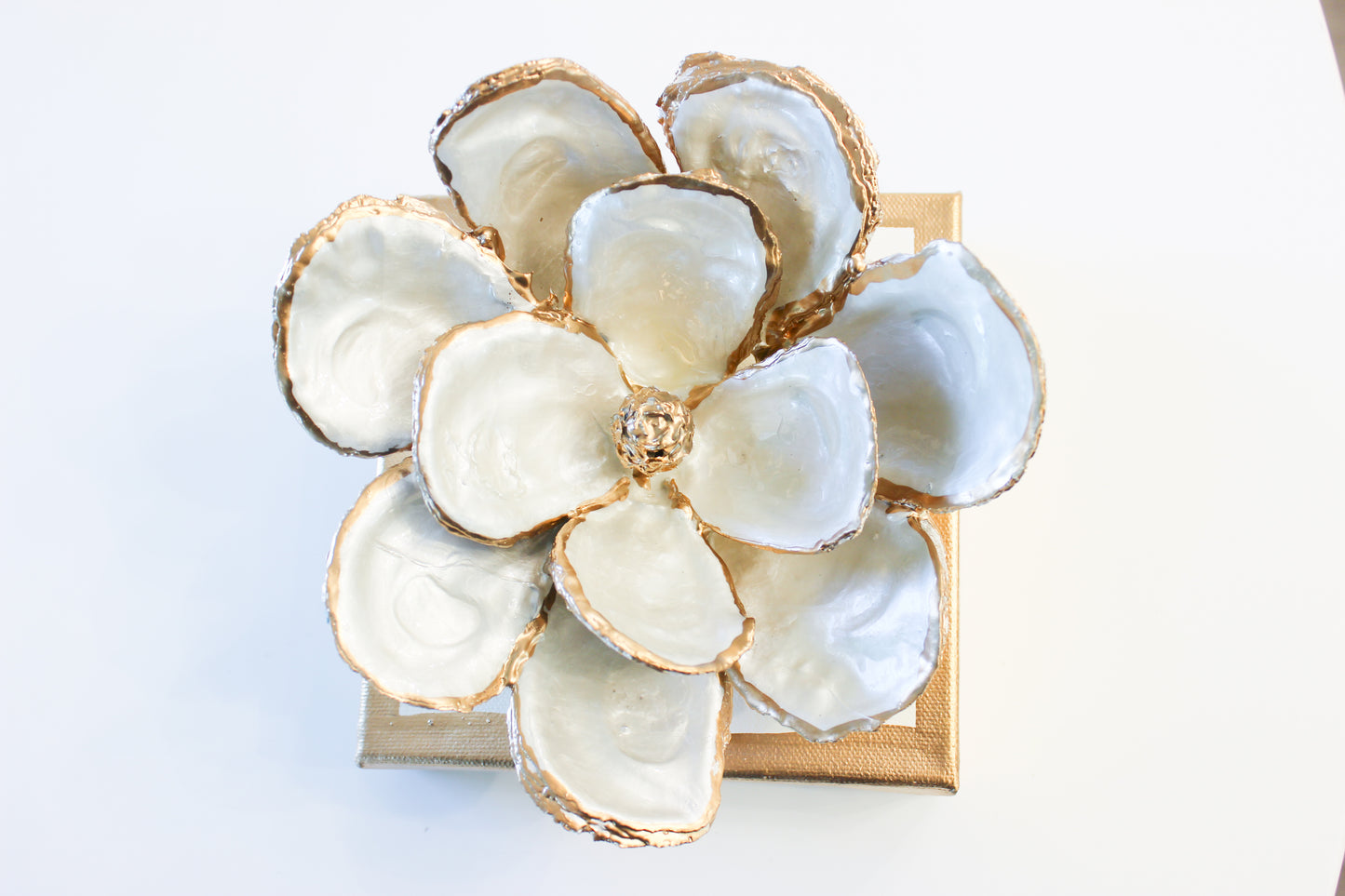 Oyster Shell Magnolia- Medium