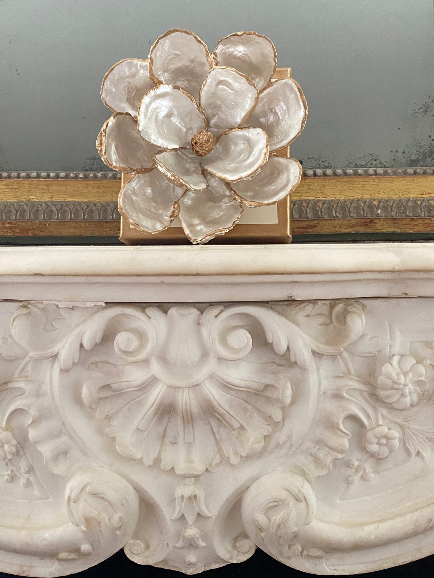 Oyster Shell Magnolia- Medium