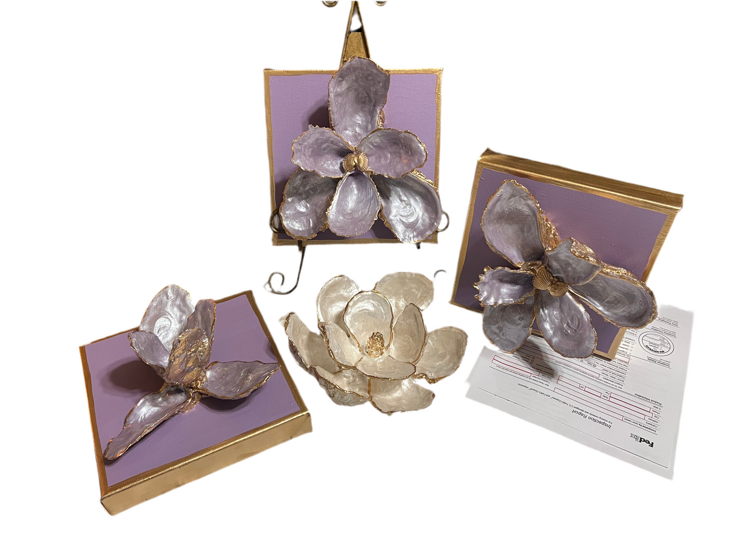 Oyster Shell Iris