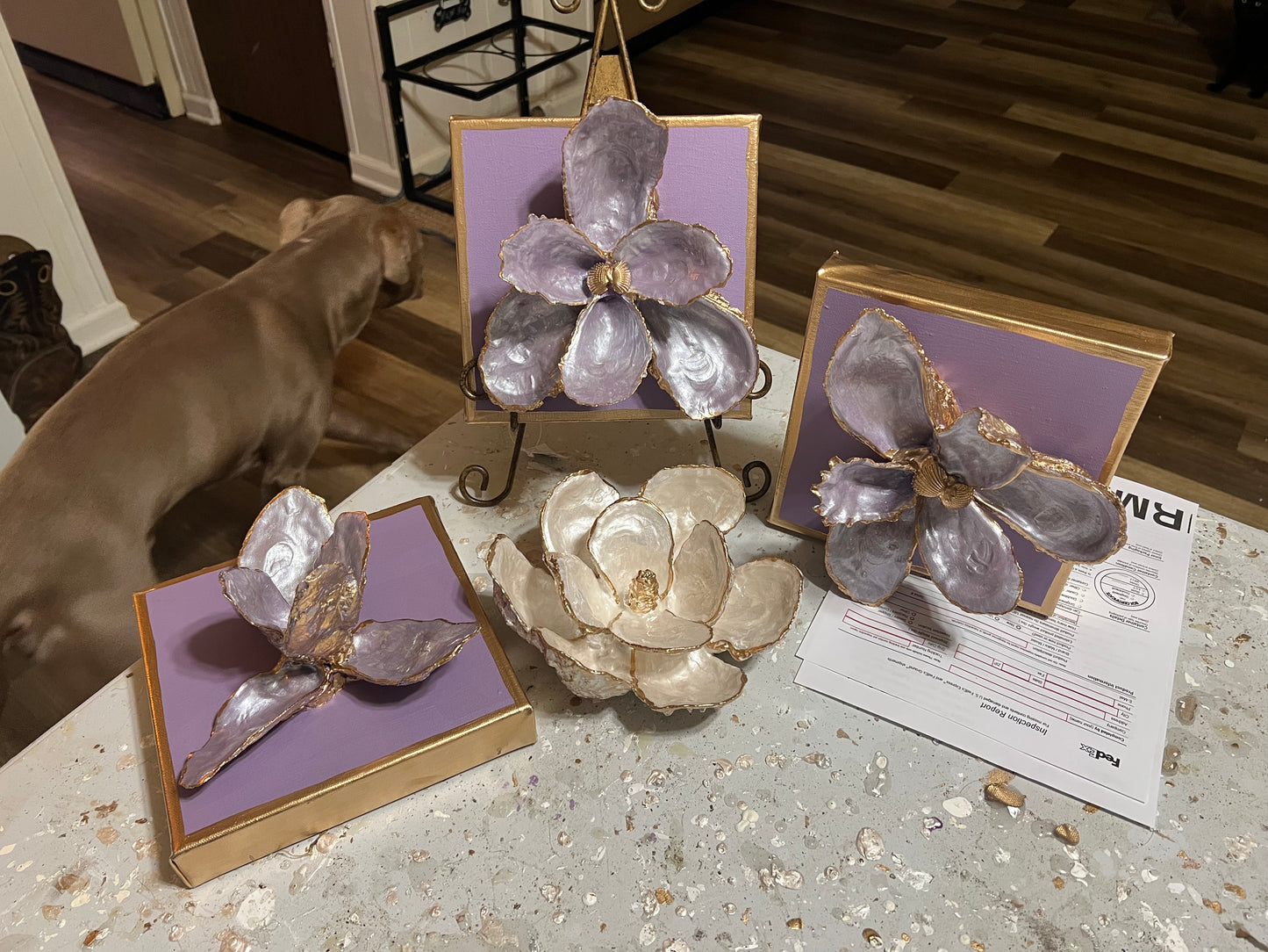 Oyster Shell Iris