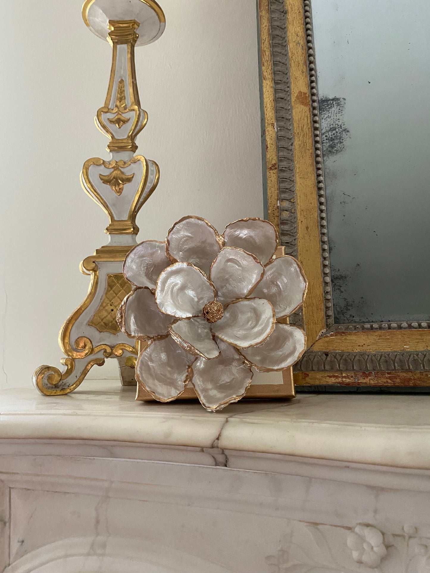 Oyster Shell Magnolia- Medium