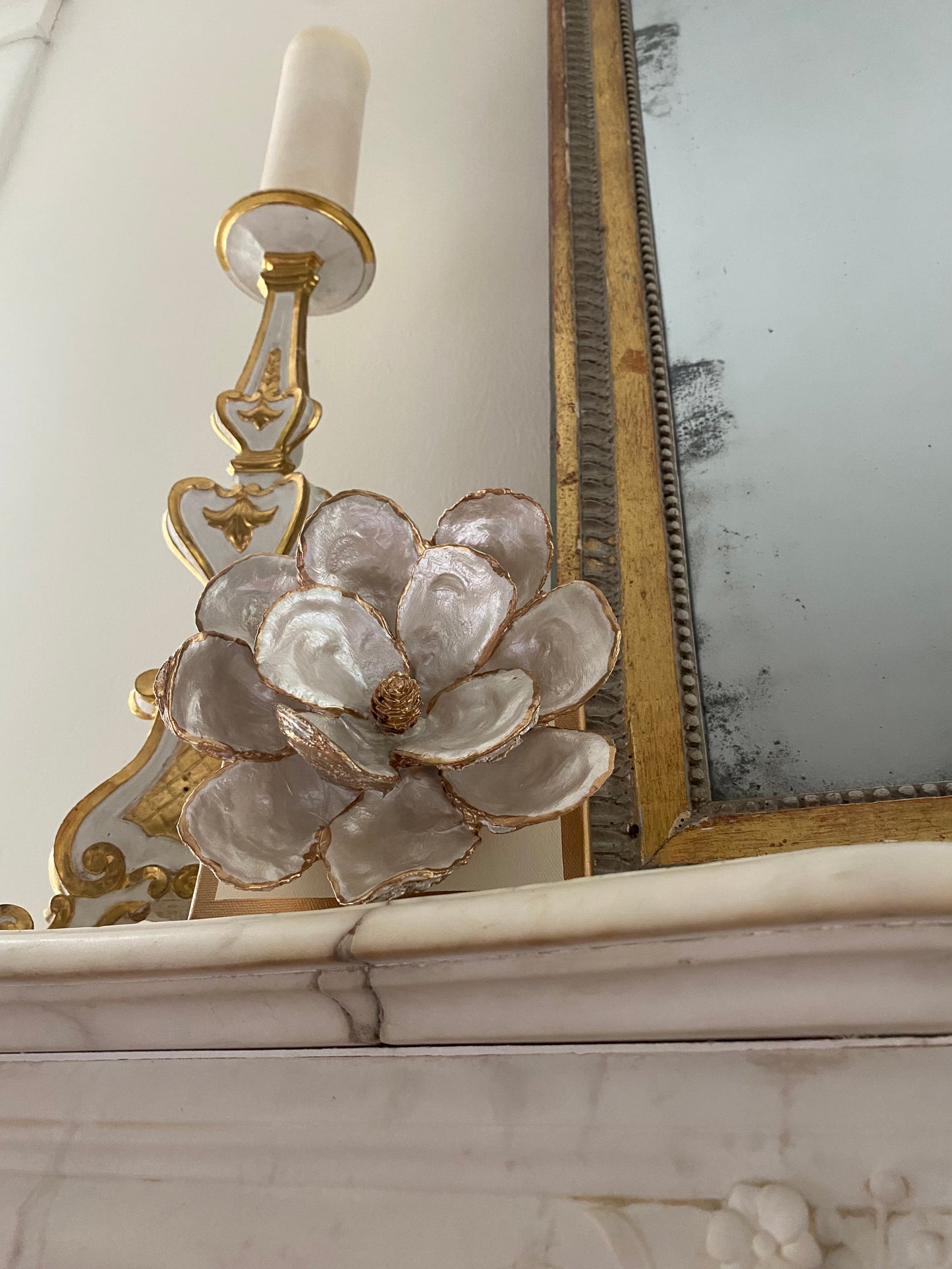 Oyster Shell Magnolia- Medium
