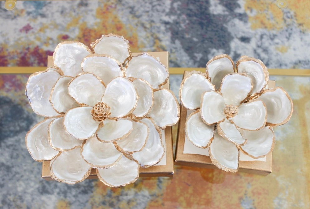 Oyster Shell Magnolia- Small