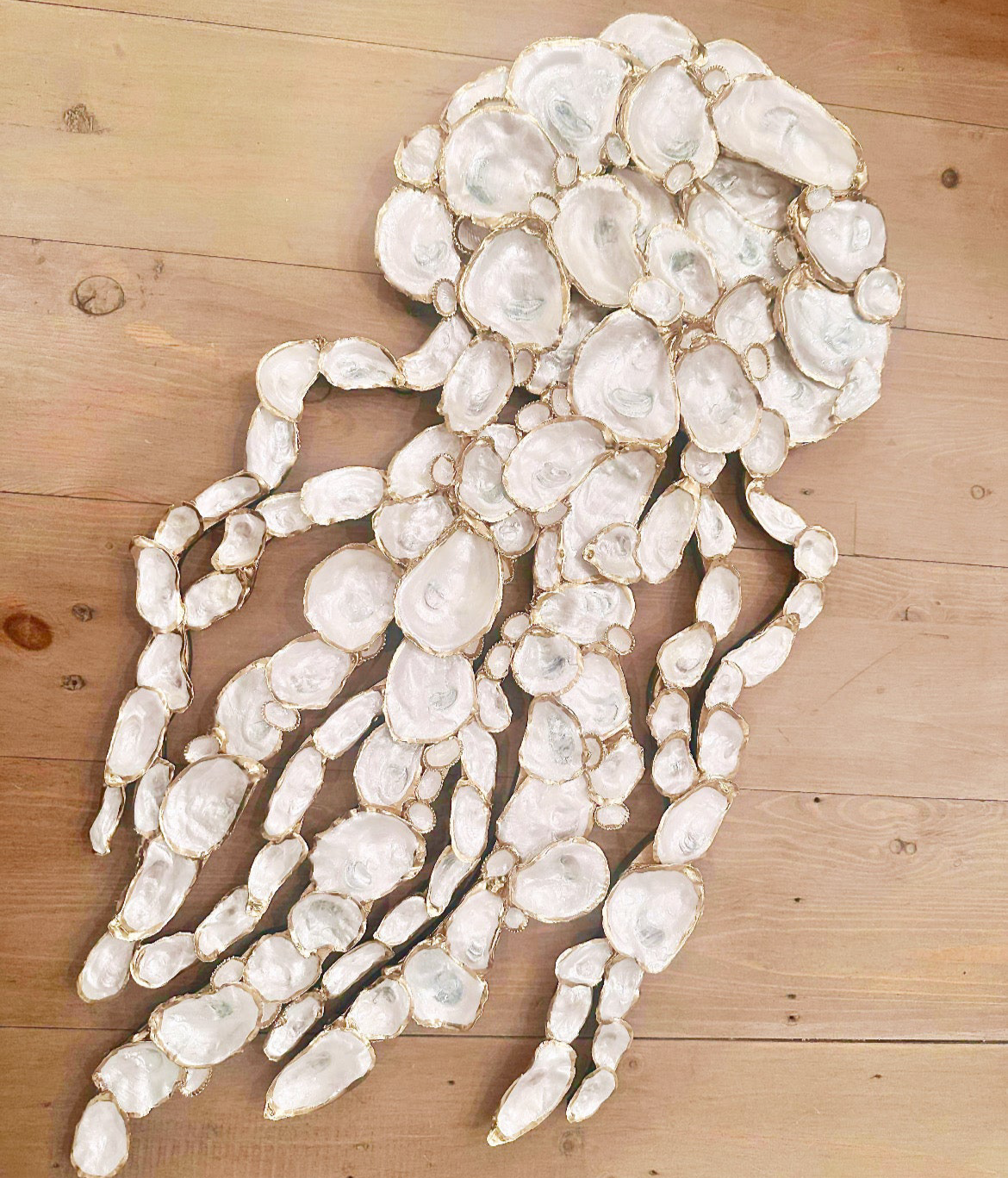 Oyster shell jellyfish