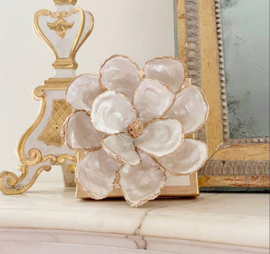 Oyster Shell Magnolia- Medium