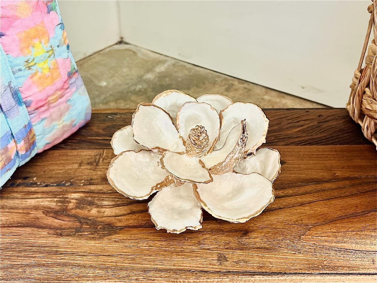 Oyster Shell Magnolia- Large